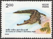 Gharial