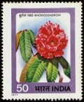 Rhododendron