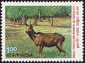 Kanha National Park