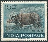 Indian Rhino